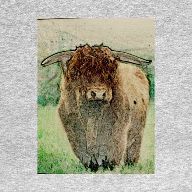 West Highland Bull 1 by bywhacky